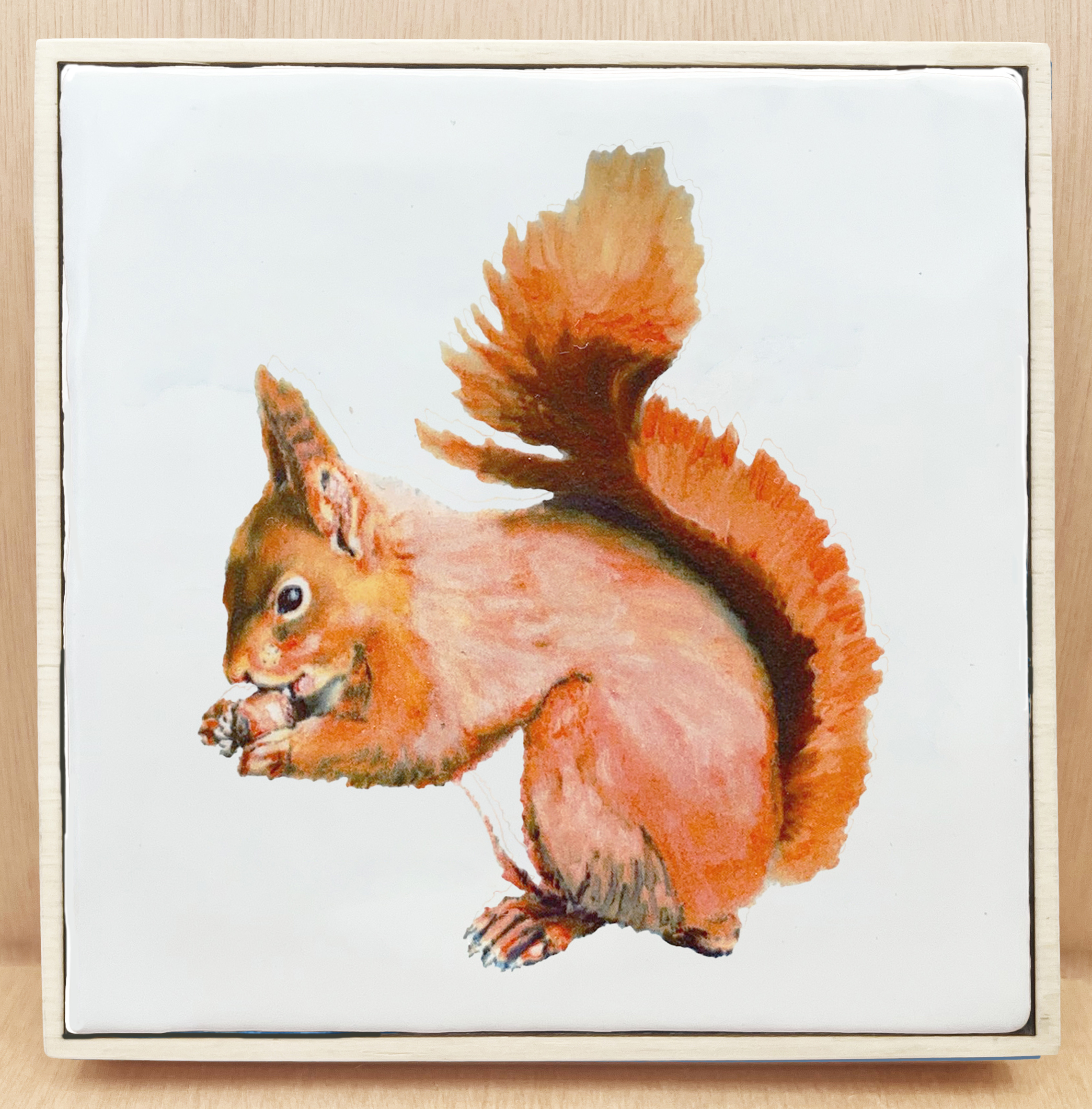 Mul 20 x 20 cm met lijst kopie