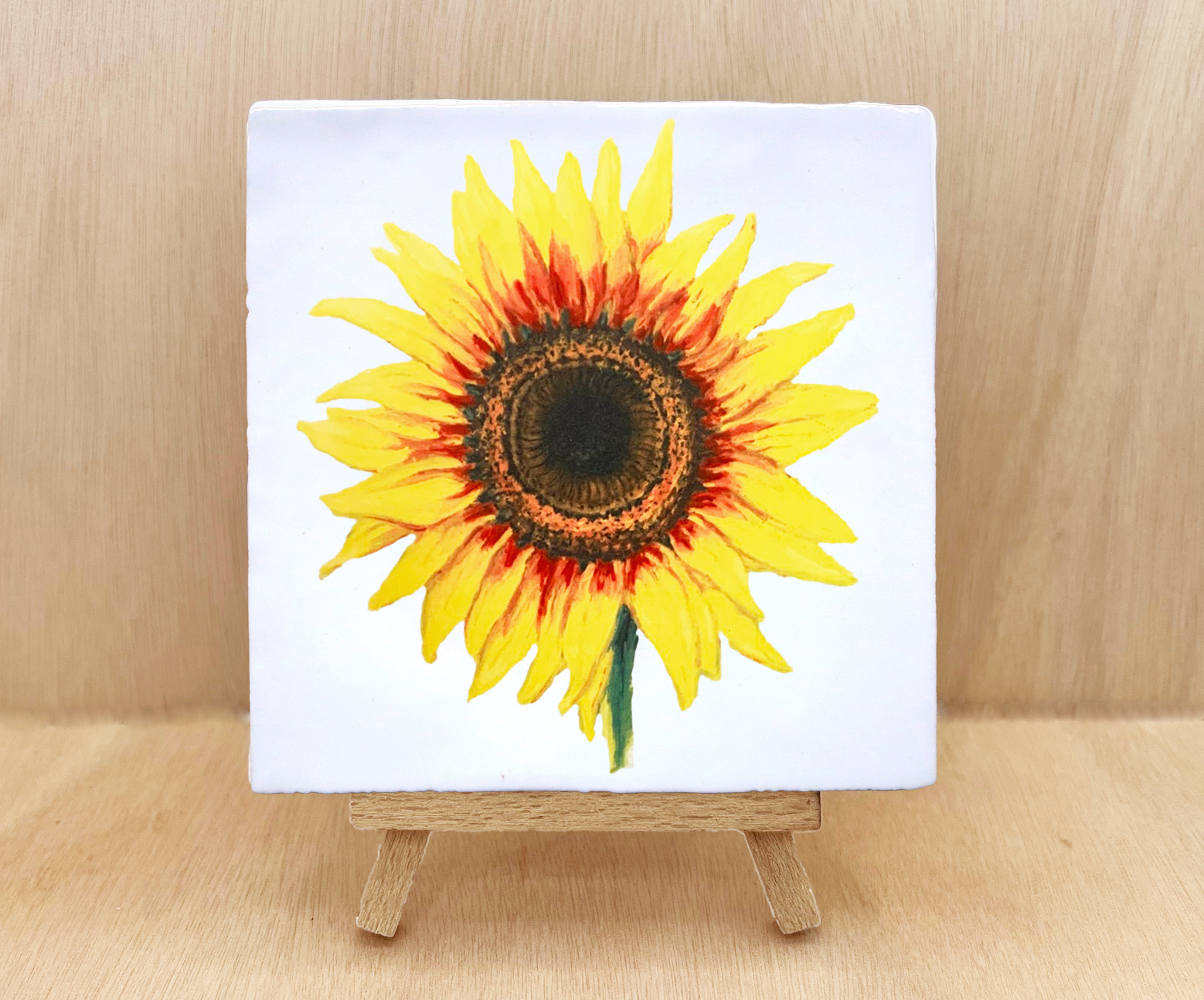 zonnebloem-13-x-13-cm-op-mini-ezel-kopie-2.jpg
